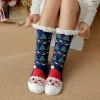 Blue Santa